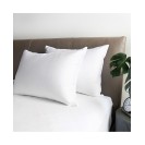  Luxury White Duck Down Bed Pillow - Standard